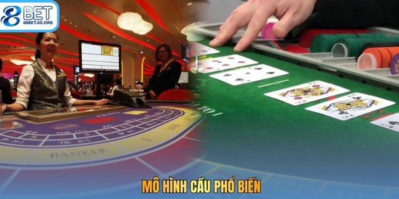 Lý do hội viên nên sử dụng